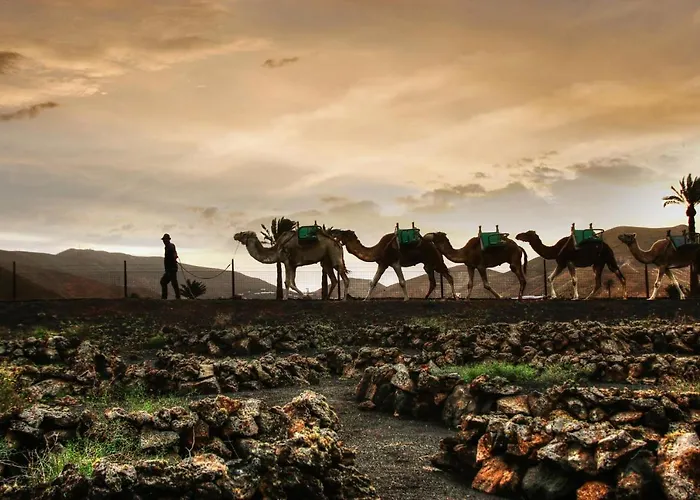 Home2book Charming Private Pool Puerto Del Carmen * ティアス