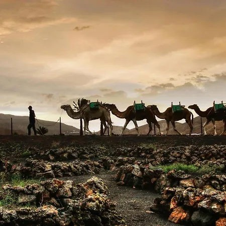 Home2book Charming Private Pool Puerto Del Carmen * Tias